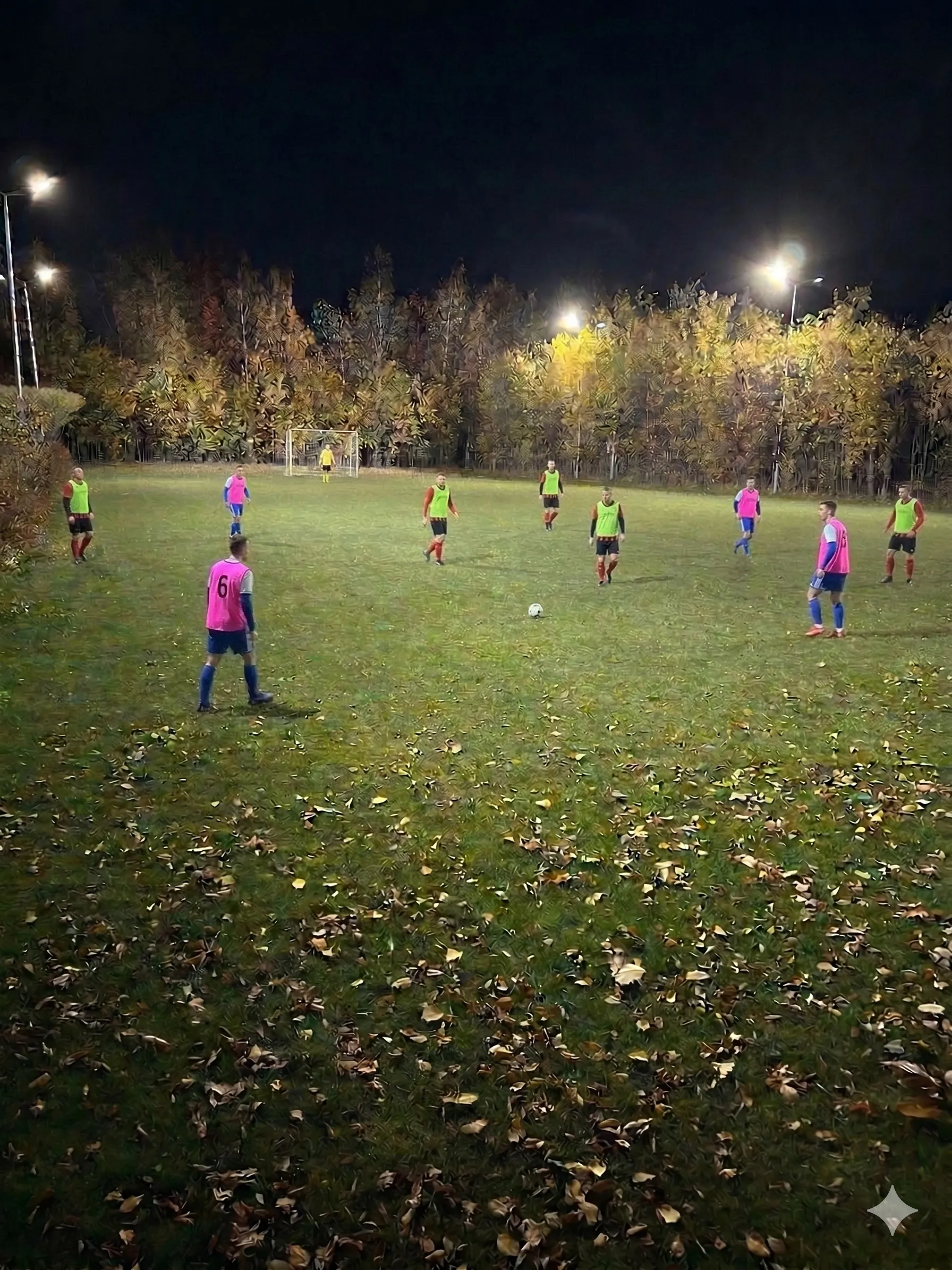 Fotbal