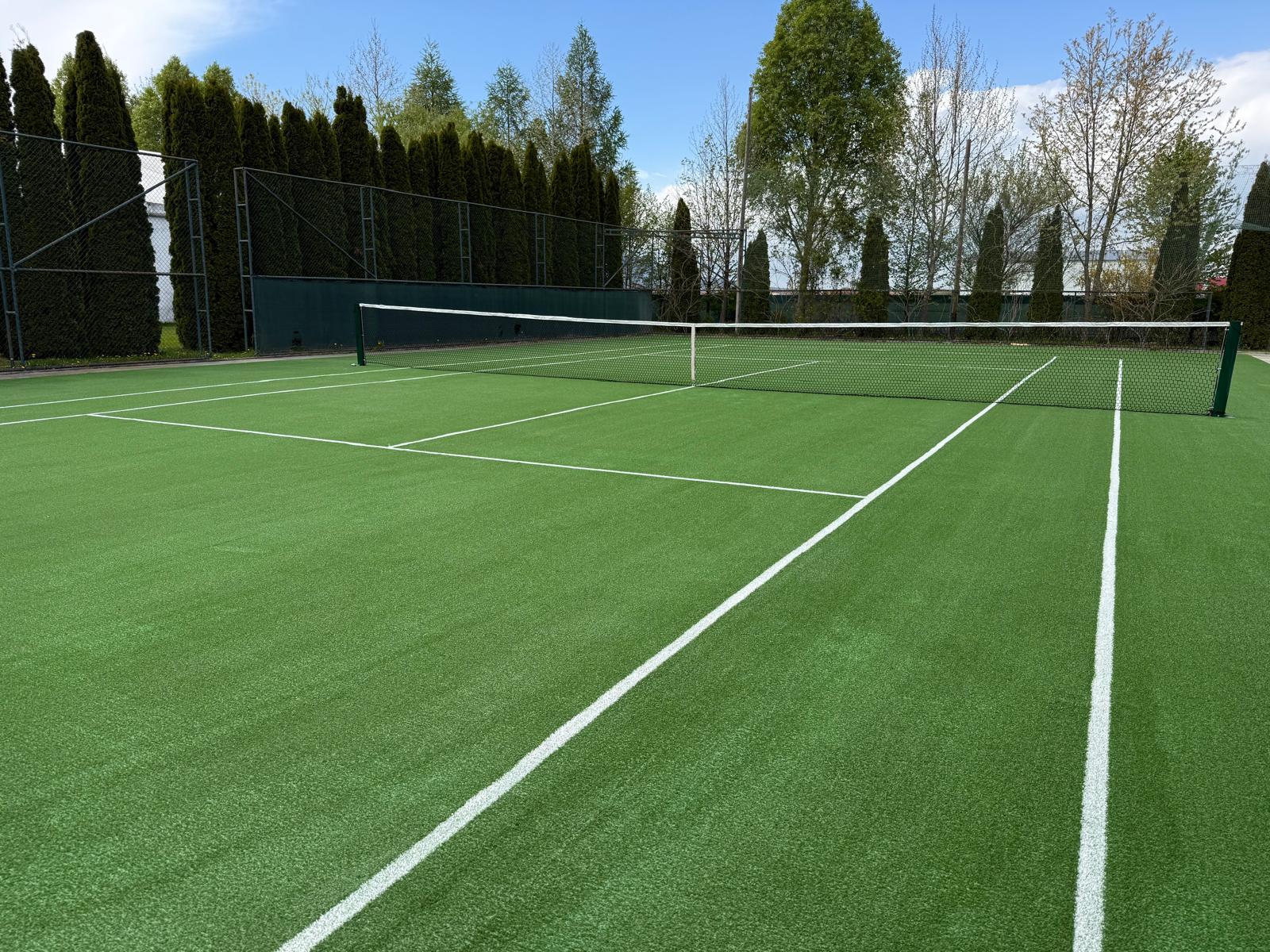 Tenis